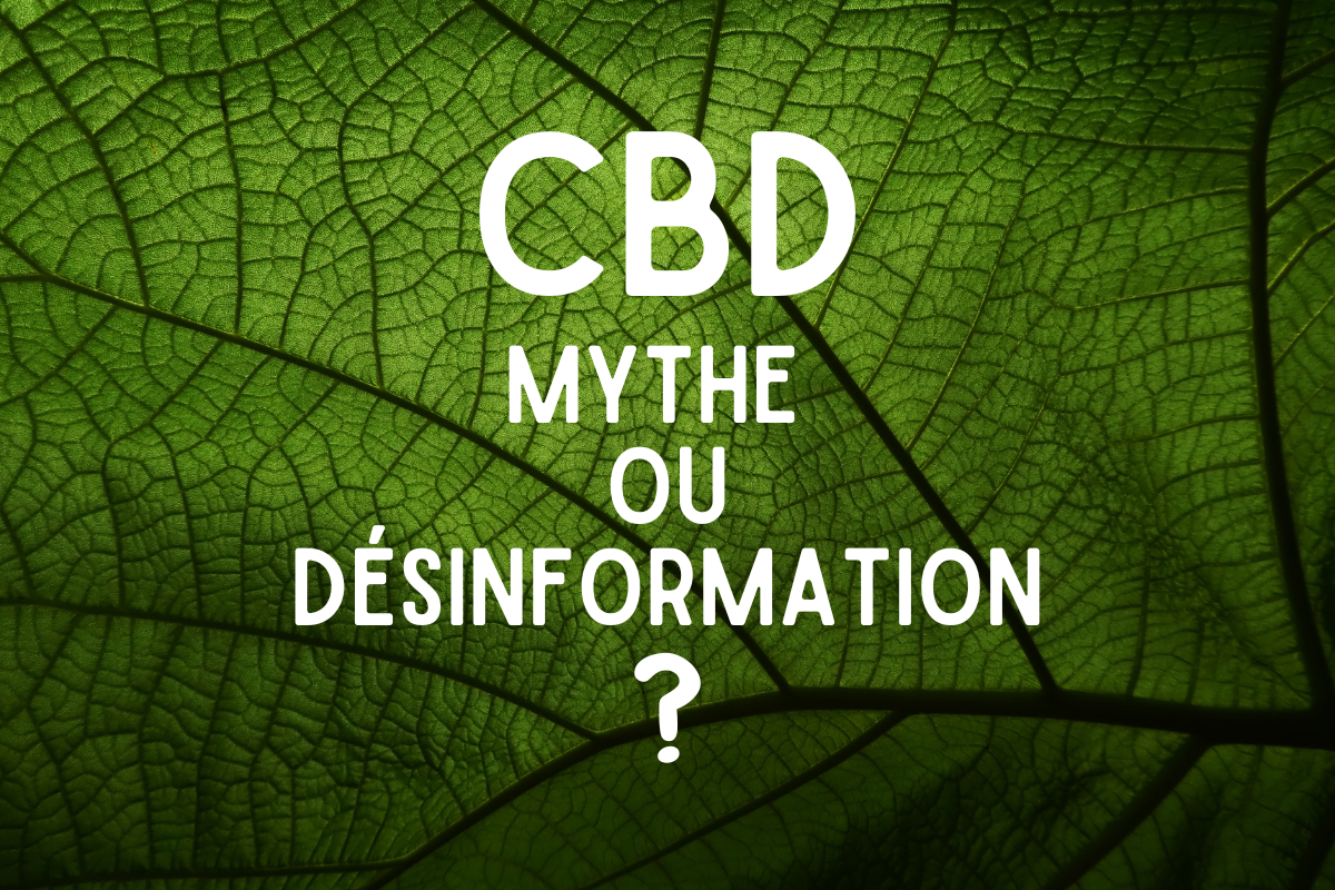Feuille verte avec le texte 'CBD : Mythe ou Désinformation ?', explorant les faits et fausses idées sur le CBD.