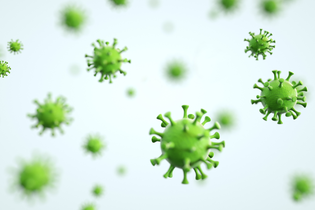 Illustration de particules du métapneumovirus humain, un virus respiratoire en 2025.