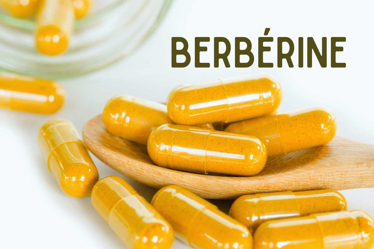 Gélules de berbérine, le complément alimentaire naturel surnommé le 'Naturel Ozempic', réputé pour ses bienfaits sur la régulation de la glycémie et la perte de poids