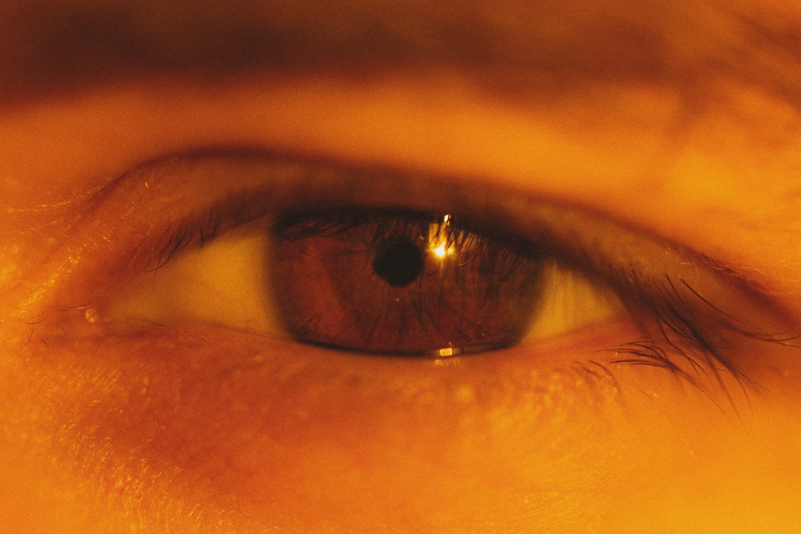 Gros plan d’un œil fatigué avec des cernes visibles sous une lumière dorée