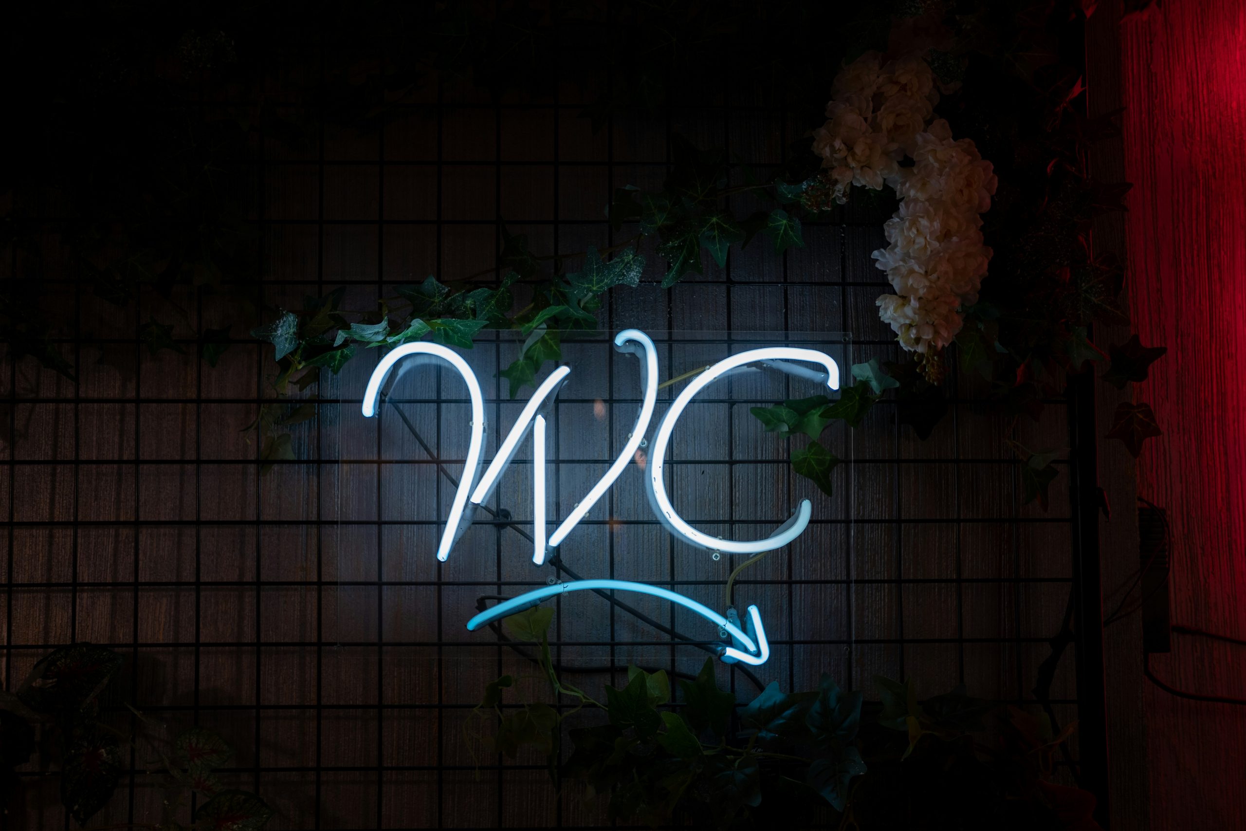 Enseigne lumineuse "WC" en néon bleu sur un mur décoré de plantes et de fleurs.
